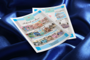 Рекламная листовка для компании "Imperial"