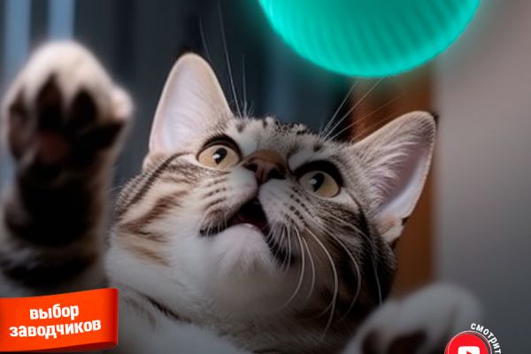 карточка товара