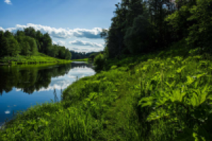 Б\Полдень на реке