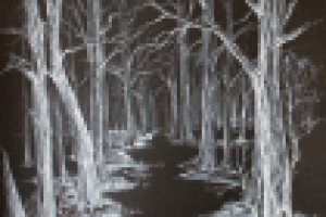 Белая тушь на черной бумаге