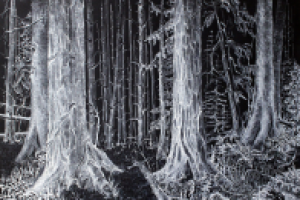 Белая тушь на черной бумаге 2