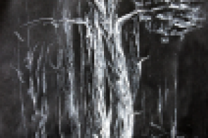 Белая тушь на черной бумаге 3