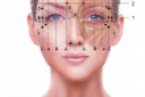 Эксклюзивная иллюстрация для врача-косметолога