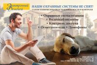 img1813356.png