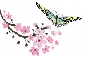 сакура_бабочка