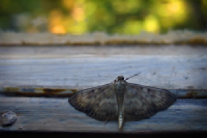 Хочу туда...