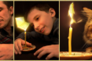 Визуализация мужских мечтаний