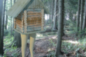 Избушка в лесу