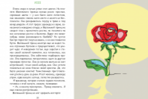 дипломный проект "Иллюстрирование книги "Маленький принц""