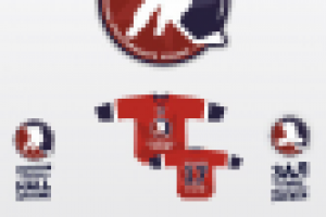 Коцепт логотипа Зала хоккейной славы