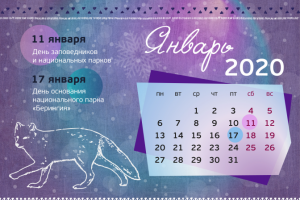 Работа 3976899