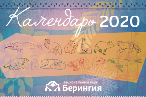 Разработка дизайна календаря для заповедника Берингия