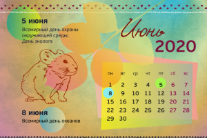 Разработка дизайна календаря для заповедника Берингия