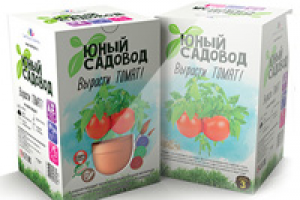 Детский набор для опытов и экспериментов