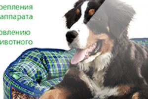 Листовка вкладыш