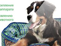 img1498328.png