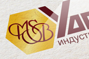 Логотип "Удомля"