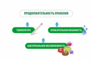 Работа 2373596