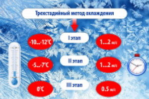 Работа 2373594