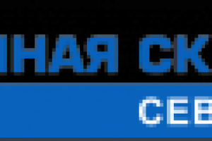 Дачная Скважина