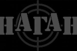 Логотип "Наган"