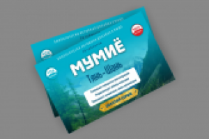 Работа 2134279