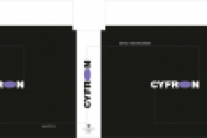 Упаковка для видеорегистратора CYFRON