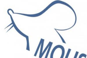 Работа 1139642