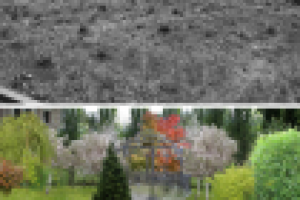 коттеджный поселок " Довиль", визуализация проекта