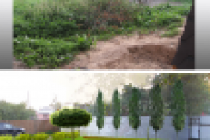 Дедовск, визуализация проекта