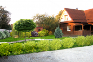 Дедовск, визуализация проекта