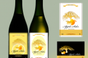 этикетка для игристого напитка