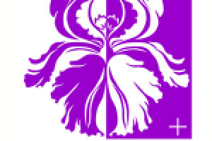 Логотип Доминанта