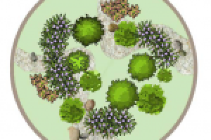 Эскиз клумбы