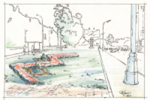 Эскиз цветника - 1