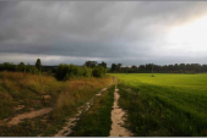 Юрьевец. Вечер в поле