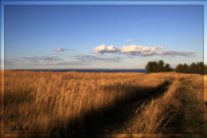 Юрьевец. Поле