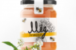 Работа 2853518