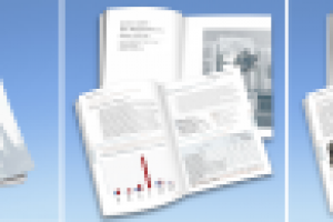 Публичный отчет