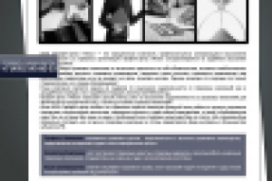 Сайт по страхованию