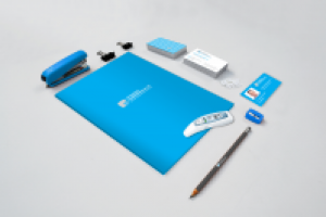 Фирменный стиль для ГП 195