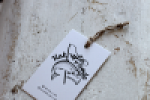 Логотип бренда одежды