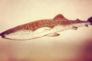 эскиз татуировки