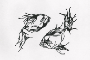 Работа 1522727