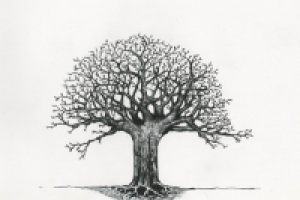 Работа 1522725