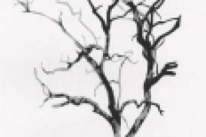 Работа 1522715