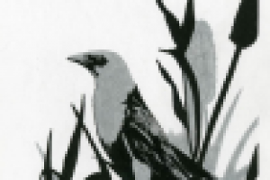 Работа 1522708