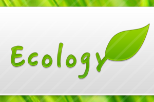 Ecology - Лого
