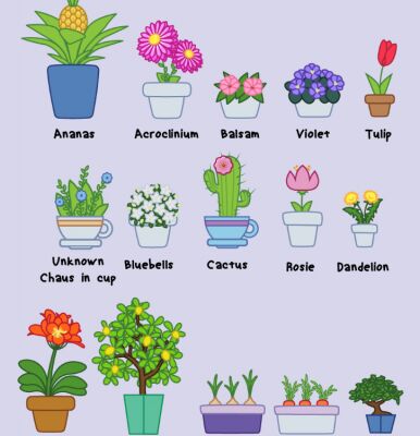 img3130767.png