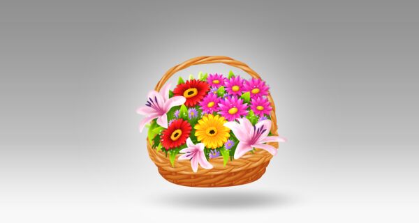 img3149420.png
